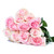 Light Pink Fresh Cut Roses