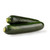 Fresh Zucchini Squash