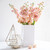 Apricot Stock - Fresh Cut - 140 Stems