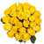 Yellow Roses 50 Cm - Fresh Cut Flowers - 50 Stems