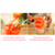 Mini Juice Machine Plastic Multifunction Manual Orange Juice Soy Milk Juicer