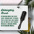 Cantu Detangle Wash Day Hair Brush, Perfect For Thick & Curly Hair