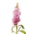 Pink Stock - Fresh Cut - 140 Stems