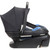 Maxi-cosi Coral Xp Infant Car Seat, Essential Graphite – Purecosi