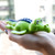 Zoiuytrg Wind Up Swimming Turtle Pool Animals Toys For Baby Kid Bathing Toys