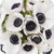 Anemones 140 Stems Of Panda White And Blue Farm Direct Fresh Cut Flowers By Bloomingmore