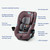 Graco Contender Go Convertible Car Seat, Sara