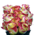 75 X Long Stems Of Deep Yellow With Red Hot Merengue Roses- Beautiful Fresh Cut Flowers- Express Delivery