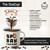 San Francisco Bay Espresso Roast One Cup Coffee Pods