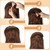 Windfall Wig Cushion Volume Hair Base Set Styling Insert Braid Tool Hair Bump Up Comb Clip Sponge Bun Hair Pad Accessories For Women Girls Diy Hairstyle
