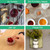 Cibeat 16 Pack Mini Mason Jars Glass Canning Jars, 4 Oz Jelly Jars With Regular Lids, Ideal For Honey, Jam, Wedding Favors, Shower Candle, Baby Food, Small Spice Jars