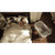 Ingenuity Foldaway Rocking Portable Bassinet - Juniper