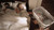 Ingenuity Foldaway Rocking Portable Bassinet - Juniper
