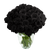 50 Stems Of Black Roses- Fresh Flower Delivery