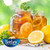 Tetley Decaffeinated Iced Tea Blend Round Tea Bags Box 24 Ct.