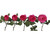 Garden Rose Baronesse 36 Stems Of 40 Cm Hot Pink Farm Direct Fresh Cut Flowers By Bloomingmore