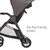 Safety 1ˢᵗ Smooth Ride Travel System Stroller And Infant Car Seat, Black Cherry