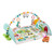 Fisher-price Activity City Gym To Jumbo Play Mat With Music And Lights