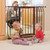 Summer Infant Anywhere Decorative Walk-thru Gate