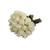 White Roses - 60 Cm - Fresh Cut Flowers - 50 Stems - By Bloomingmore