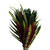 Assorted Colors Foliage Bunch Reina - Fresh Cut - 170 Stems