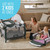 Graco Pack 'n Play Newborn2toddler Playard, Carlee
