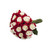Painted Marshmallow White & Red Roses - 50 Cm - Fresh Cut Flowers - 50 Stems - By Bloomingmore