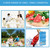 2pcs Contoured Shape Ice Packs Breast Milk Bottles Breastmilk Storage Reusable Can Beer Cooler