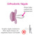 Mam Baby Bottle And Pacifier Matte Gift Set, Girl, 10 Pack