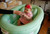 4-in-1 Room To Grow Portable Green Inflatable Baby Bathinet