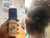 Bimpe- 100% Natural And Organic Hair Deep Cleansing Shampoo For Kids And Adults With Hair Vitamins, 8oz