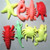 Zedwell 10pcs/lot Ocean Animal Growing Toy Marine Biology Toys Sea Animals Toy Soaking Epansion Magic Swelling In Water For Kids Gift