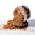 Black Opal Soft Velvet Finishing Powder, Hypoallergenic, Neutral Light