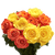 50 Stems Of Roses: 25 Yellow And 25 Orange- Beautiful Fresh Cut Flowers- Express Delivery