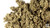 Mugwort Herb C/s Bulk, 16 Oz Organically Grown Cut & Sifted