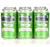 Adirondack Beverages Ginger Ale Soda, 12 Oz. Cans (pack Of 24)