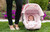 Carseat Canopy 5 Pc Whole Caboodle Angelina Baby Infant Car Seat Cover Kit With Minky Fabric