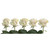 "painted Joy Confetti" Roses - 50 Cm - Fresh Cut Flowers - 50 Stems - White Roses - By Bloomingmore