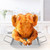 Stainless Steel Bbq Roast Chicken Set Chicken Grill Chicken Roasting Tin Poultry Roaster For Barbecue