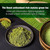 - Green Tea Latte Single Serve Pods (banana Cream)