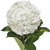 Hydrangeas 15 Stems Of White Fresh Cut Flowers By Bloomingmore