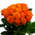 50 Orange Roses Flowers