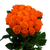50 Orange Roses Flowers
