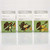 Natursutten Butterfly Rounded Pacifier 2pk - 0-6 Months