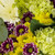 Yellow Glory Bouquet - Fresh Flowers - 24 Stems