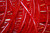 Baysidecandy Licorice Laces Red, 1lb