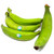 Congo Green Plantain (barraganete) (shipping Included)