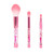 Profusion Mean Girls The Plastics 4pc Make Up Brush Kit