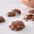 Russell Stover Holiday Milk Chocolate Pecan Delights Gift Box, 8.1 Oz. (9 Pieces)
