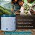 Blue Lotus Chai - Mint Flavor Masala Chai - Makes 100 Cups - 3 Ounce Masala Spiced Chai Powder With Organic Spices - Instant Indian Tea No Steeping - No Gluten